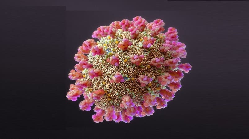 Coronavirus protein redesigned in lab