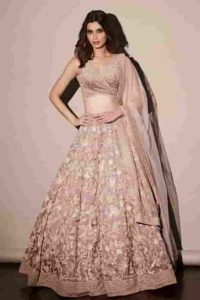 Fabulous Ivory Lehenga