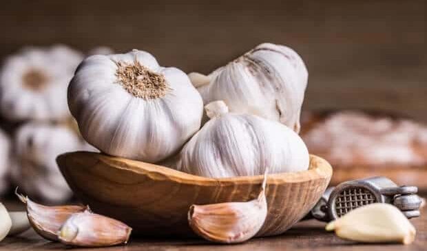 fat-burning food (Garlic has compound called allicin which helps in fat-burning )