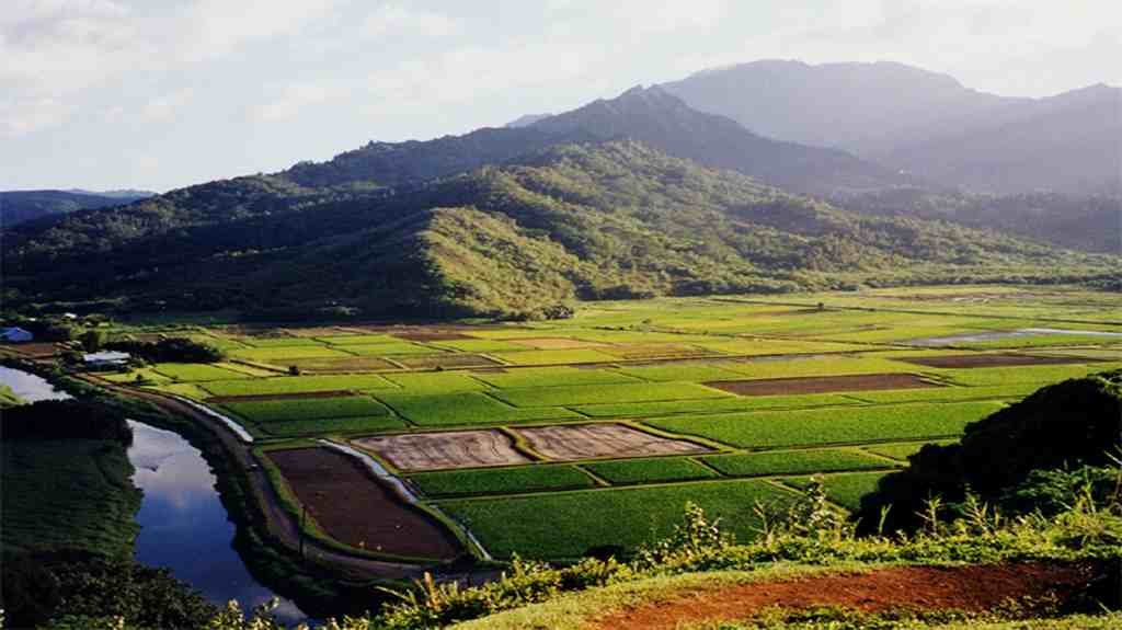 Diphu Hill Station