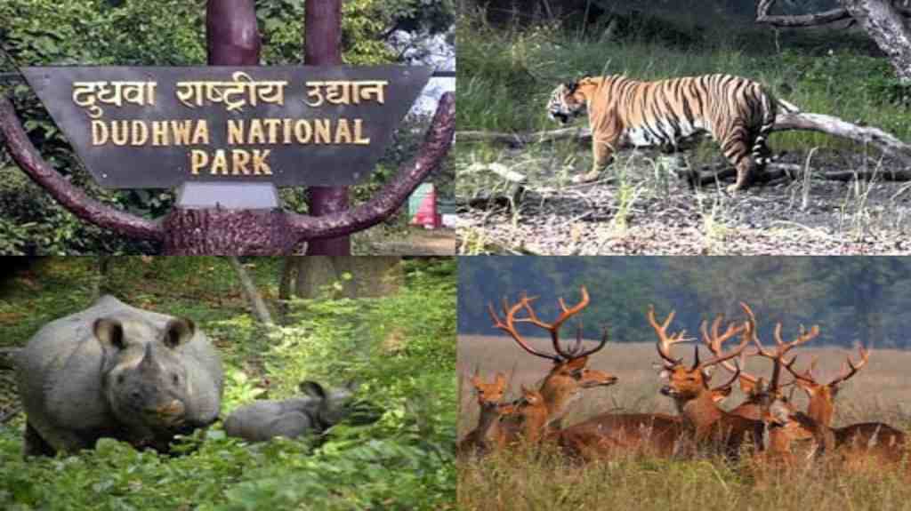 Dudhwa National Park