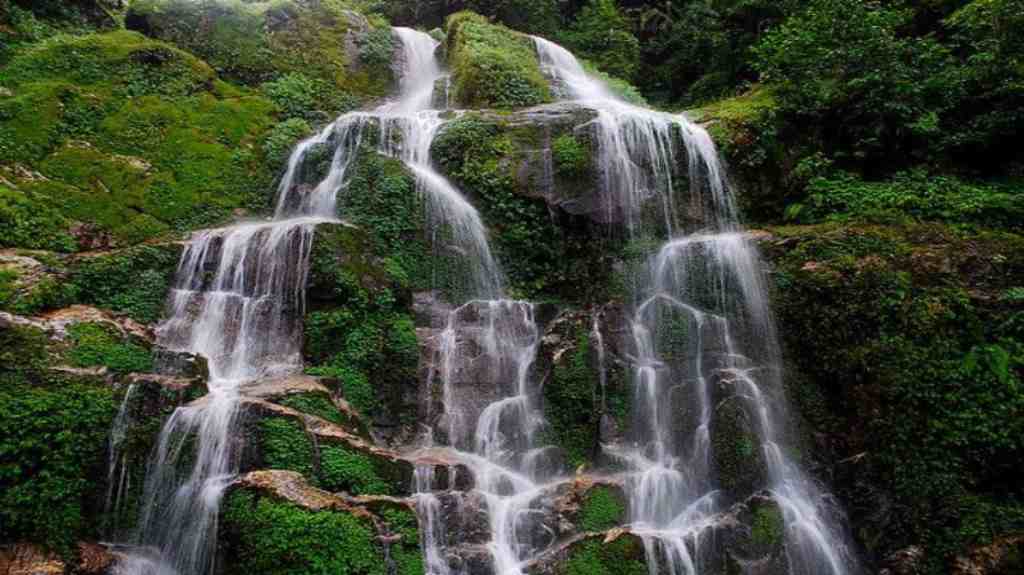 Sirijunga Falls, Bermiok