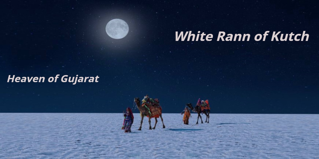 White Rann of Kutch