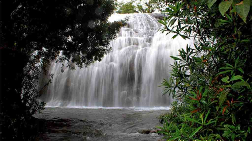 Thommankuthu Waterfalls